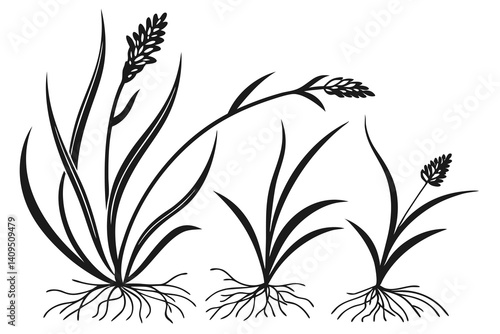 Black and white floral vector pattern with ornate flower and leaf silhouette