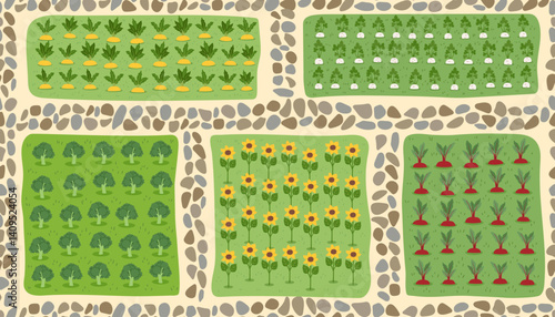 Gardening and farming concept seamless pattern. Nature banner of vegetables on beds. Regenerative farming concept. Vector flat background.