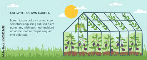 Gardening concept banner. Nature background with greenhouse and eggplants in it. Vector hand drawn illustration.