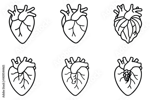 heart anatomy line art diagram of heart chambers