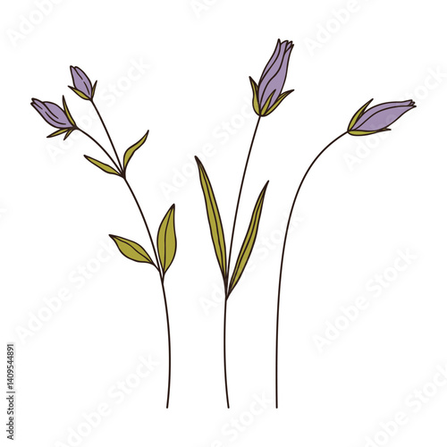 Set of violet wildflower buds, black contour, white background. Hand-drawn flowers and leaves. Wild plants for design projects. Vector illustration