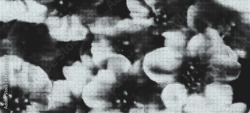 Aesthetic Vintage Grunge Collage with Halftone and Grain Effects Featuring Roses and Botanical Elements in a 90s Y2K Style Background with Stipple Texture for Artistic Use