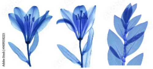 Explore the captivating interplay of transparent floral x-ray images in blue grunge style, capturing a vintage aesthetic with botanical elements and halftone textures