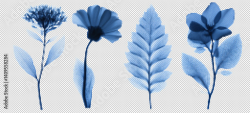 A set of four transparent blue x-ray flowers with a grunge effect, showcasing a blend of y2k vintage aesthetics and botanical elements in a 3D vector collage