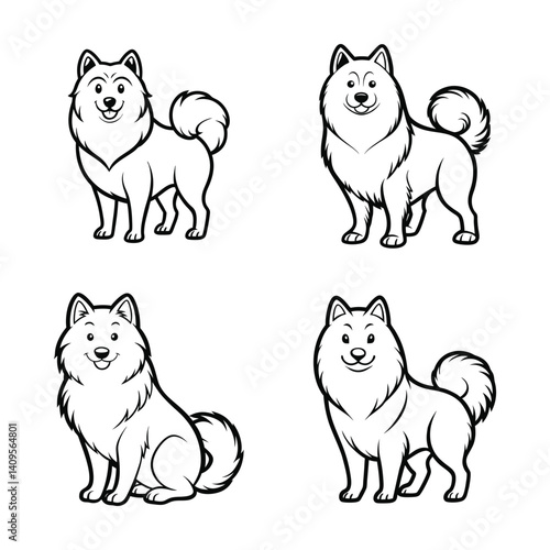 American Eskimo dog