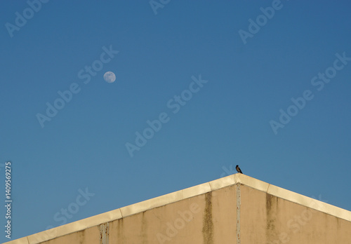 Visual Balance Between Bird and Moon in a Minimal Sky