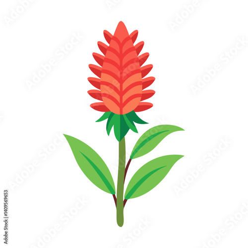 Modern Ginger Flower Illustration with Dark Background