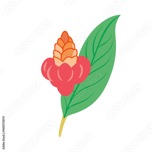 Modern Flat Design Ginger Flower and Leaf Illustration