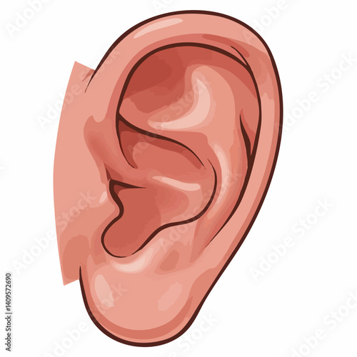 Human Ear Anatomy Illustration Side View. Vector Image