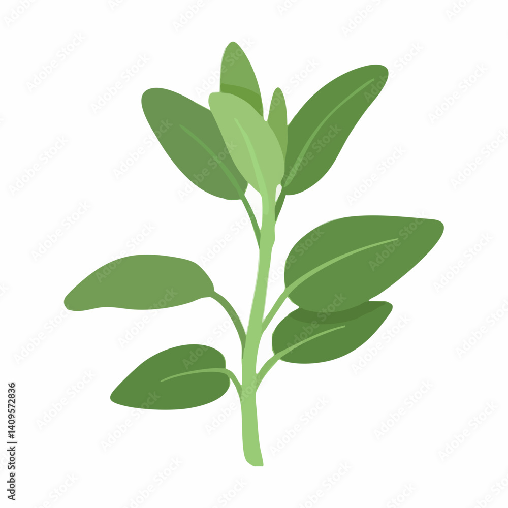 Fototapeta premium Green Plant with Multiple Leaves and Stem. Vector Image