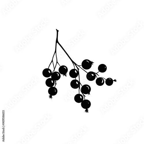Silhouette of berry branch in black on white background