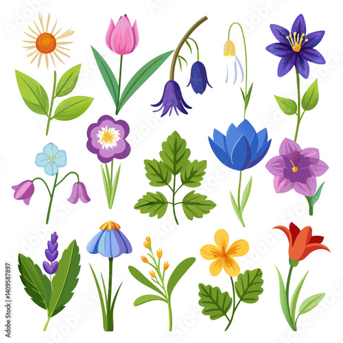 Variety of colorful flowers vector illustration on white
