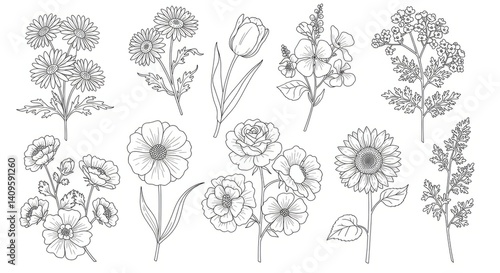 Wallpaper Mural Floral Botanical Illustrations Dotted Line Art Designs Torontodigital.ca