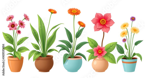 flower plants in pot