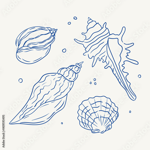 Shells of various shapes and sizes are artistically drawn with fine lines and details