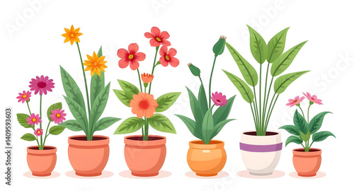flower plants in pot