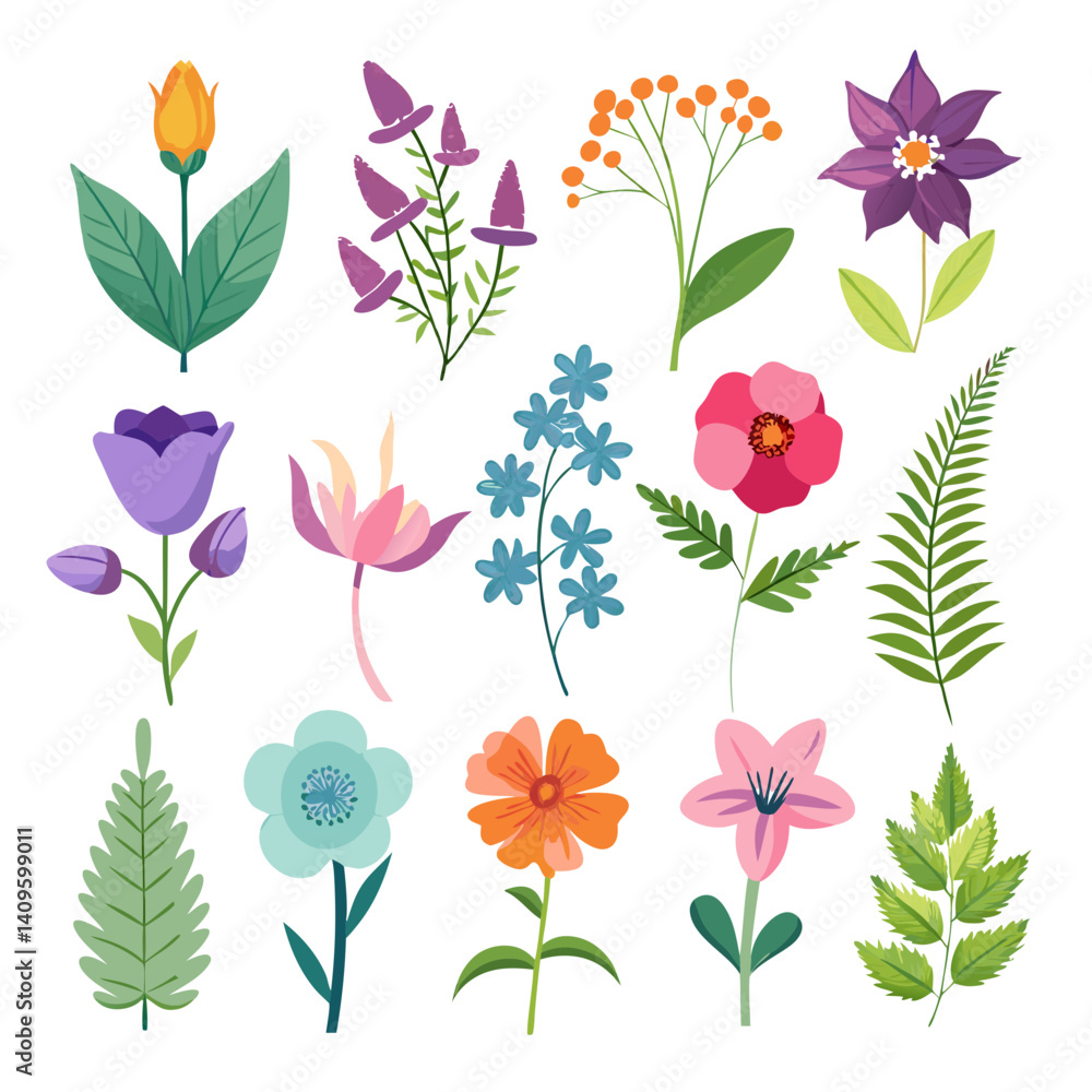 Various colorful wildflowers and fern leaves on white background Various colorful wildflowers and fern leaves on white background