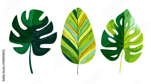 Tropical leaves illustration showcasing detailed designs and vibrant colors ideal for nature lovers and botanical art enthusiasts