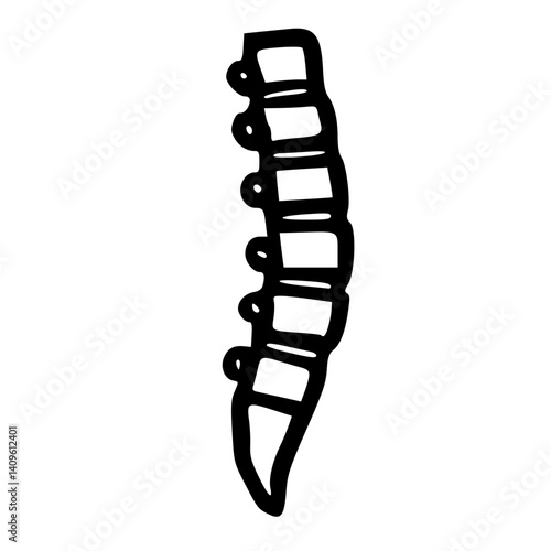 Spinal Cord Doodle