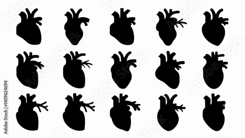 set of anatomical heart silhouette vector on white background