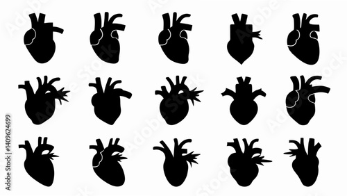 set of anatomical heart silhouette vector on white background