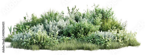 PNG Grassland shrub landscape vegetation plants green.
