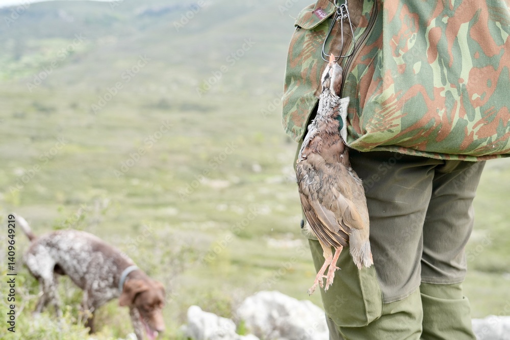 Obraz premium A person is holding a bird in their hand while wearing a camouflage jacket