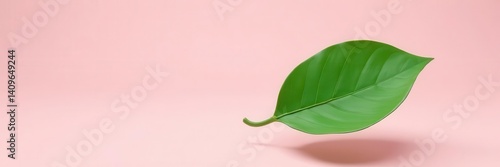 Single green leaf floats, soft shadow, pastel pink backdrop, texture, natural