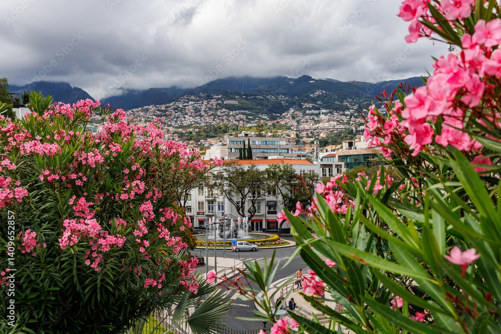 View from Santa Catarina Park in Funchal city, capital of Madeira Island, Portugal