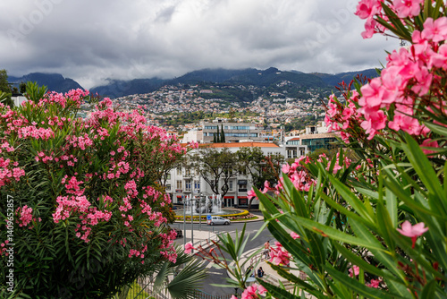 Obraz na płótnie View from Santa Catarina Park in Funchal city, capital of Madeira Island, Portugal w salonie