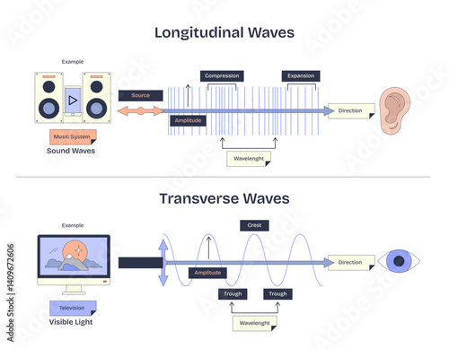 Longitudinal and transverse waves are illustrated with sound and light examples, highlighting compression, expansion, crest, and trough, transparent background.