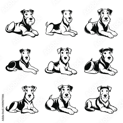 Airedale Terrier dog