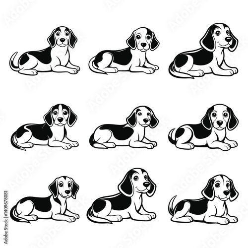 Beagle