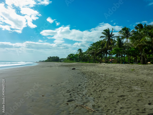 Obraz na płótnie Dark volcanic sand stretches along a Costa Rican beach, meeting gentle ocean waves under partly cloudy blue sky. Lush line of tall palm trees provides beautiful tropical backdrop to serene shoreline w salonie