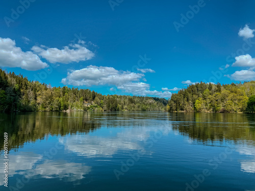 lake and forest