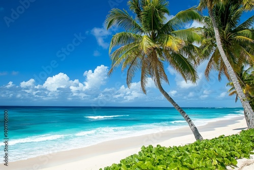Tropical beach with palm trees and clear blue ocean under bright sky