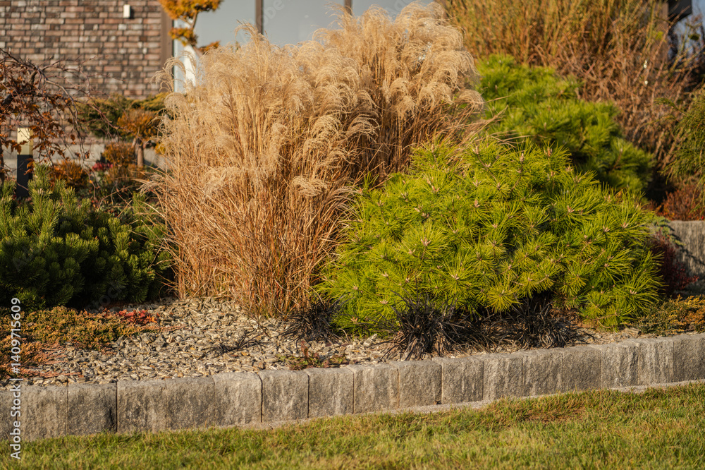Beautiful Garden Landscape With Grasses and Evergreen Shrubs