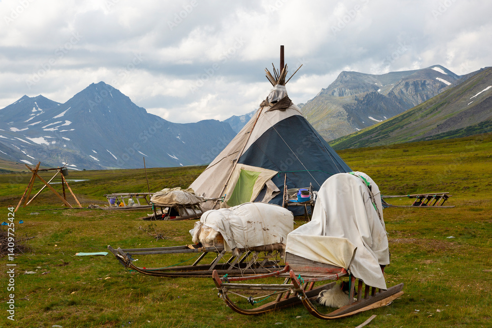 Nenets reindeer herders choom on a summer. Russia
