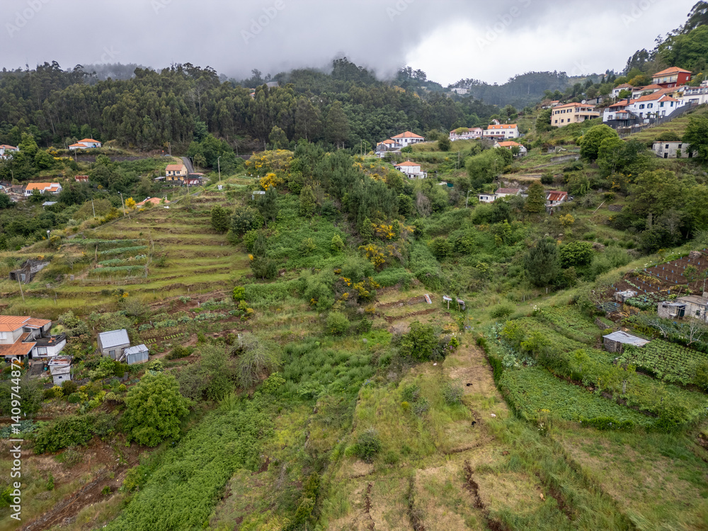 Small terrace gardens in Camacha mountainous town in municipality of Santa Cruz, Madeira Island, Portugal