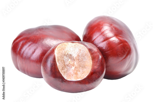 Obraz na płótnie Chestnuts isolated on white background w salonie