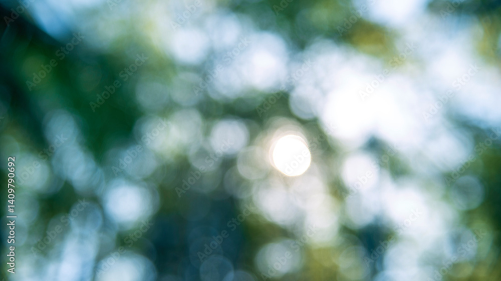 Blur background green park garden nature bright sunny forest. Blurry outdoor park in springtime glowing shiny day template with sunlight bokeh. Abstract blurred background banner copy space. Blur background green park garden nature bright sunny forest. Blurry outdoor park in springtime glowing shiny day template with sunlight bokeh. Abstract blurred background banner copy space.