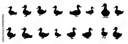 Duck silhouette, on white background, isolated.