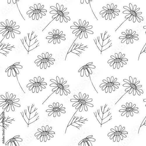Daisies seamless pattern hand drawn, vector illustration