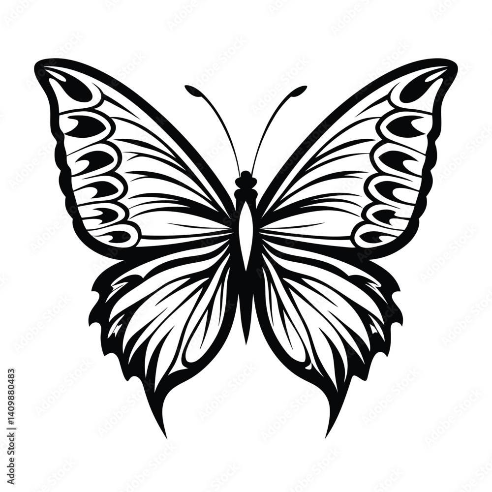 Detailed Black and White Butterfly with Intricate Wing Patterns on Isolated Background Detailed Black and White Butterfly with Intricate Wing Patterns on Isolated Background