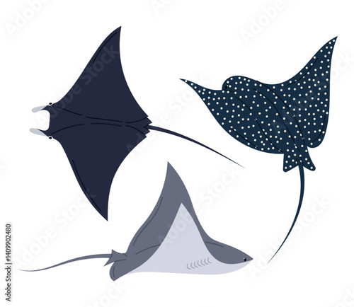 Set stingray fish isolated on white background. Ocean stingray. Marine or oceanic animal in flat style.