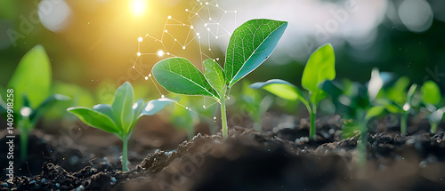 Innovative agricultural practices for climate-resilient crops utilizing ai and blockchain technology in sustainable farming environments