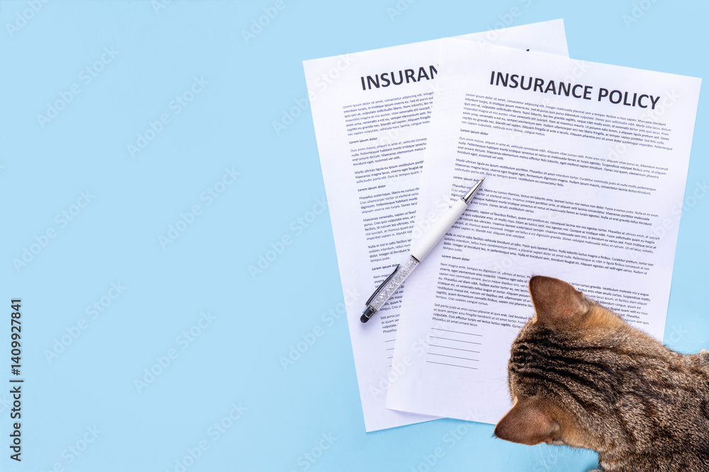 Obraz premium Pet health life Insurance, medical coverage concept. Insurance contract with cat paw signature and cute striped tabby cat. Flat lay mock-up for cats and dogs for insurance agency, medical services