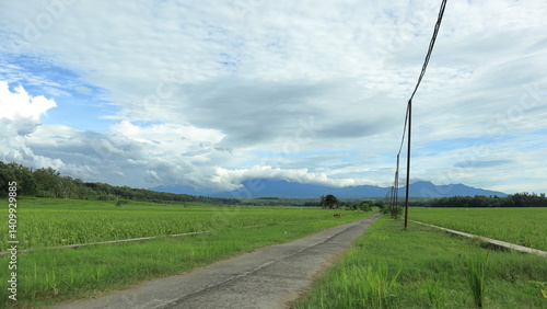 Scenic view of a rice field stretching towards the mountains, with a winding road and power lines leading the eye through the landscape under a cloudy sky