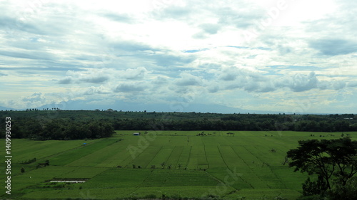 Beautiful view of lush green rice fields with mountains in the background, partially covered by clouds, creating a serene and peaceful rural landscape.