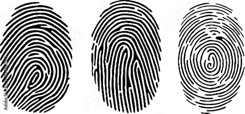 Vector illustration set of three black line fingerprint types on white background. stock illustration